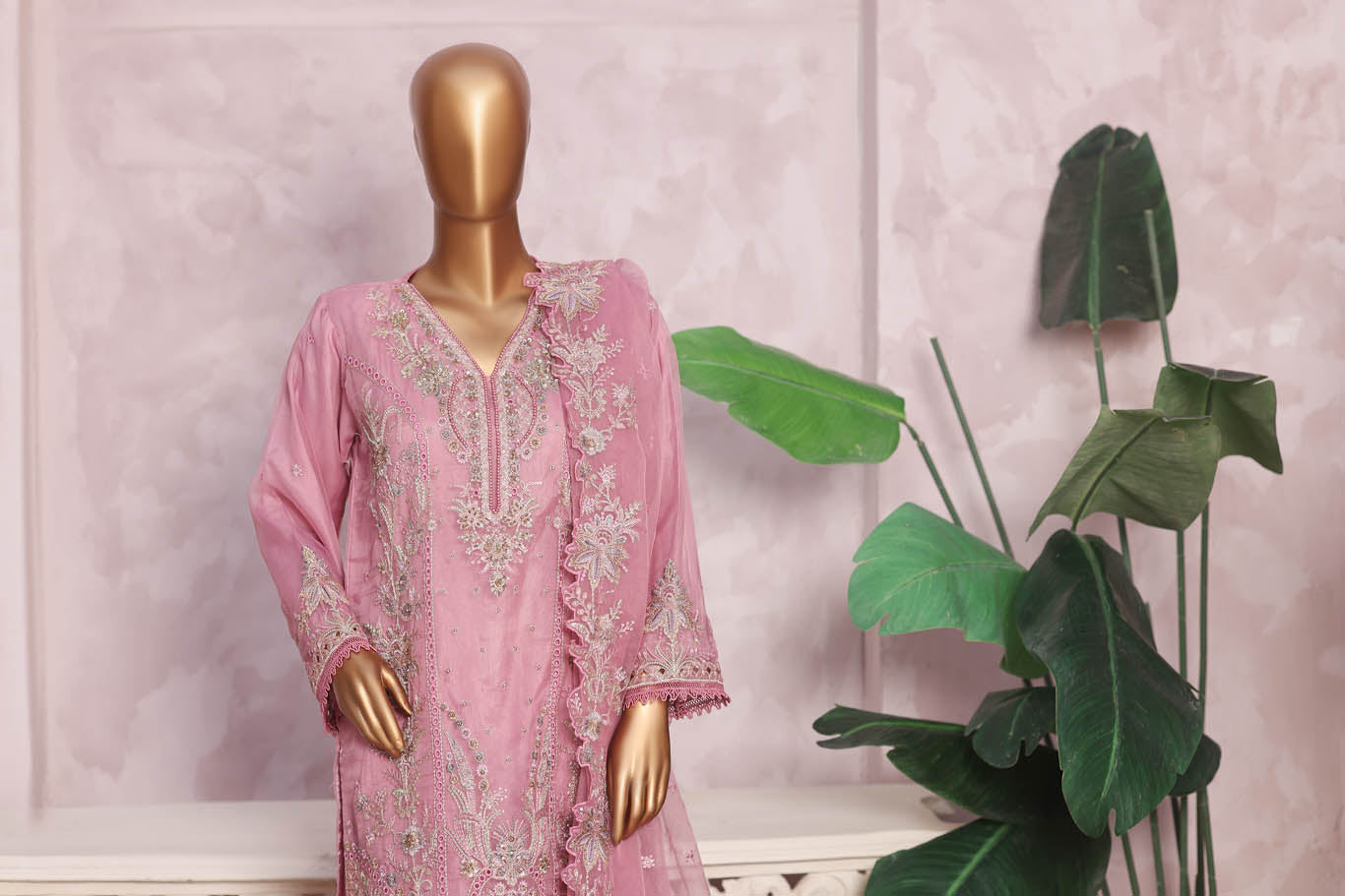 Zania Collection