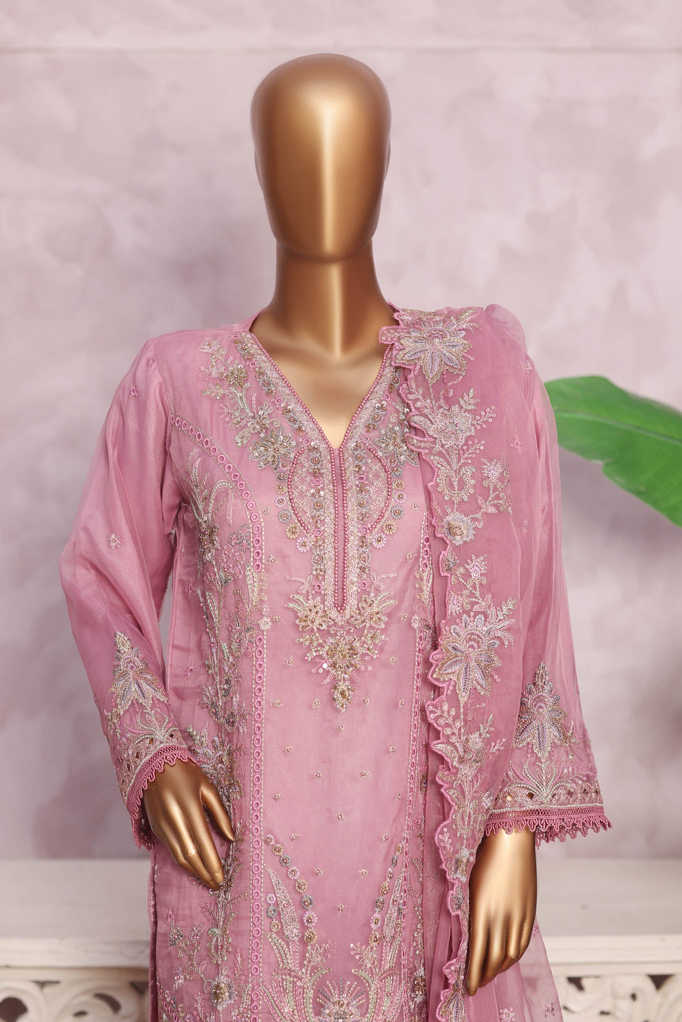 Zania Collection
